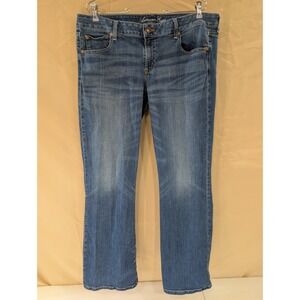 American Eagle Outfitters Favorite Boyfriend Stretch Jeans Women 18 Long